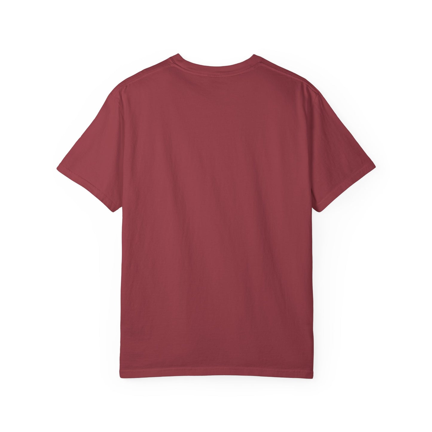Christian T-Shirt — "By His Stripes We Are Healed" Vintage Faith Tee