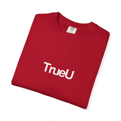 Unisex Garment-Dyed T-shirt, Soft Casual Tee, Summer Essentials, Trendy Everyday Wear, Gifts for Him/Her, Relaxed Fit Clothing